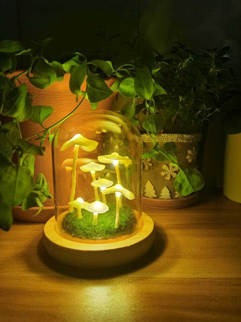 DIY Paddenstoelen Lamp voor Creatieve Projecten 7