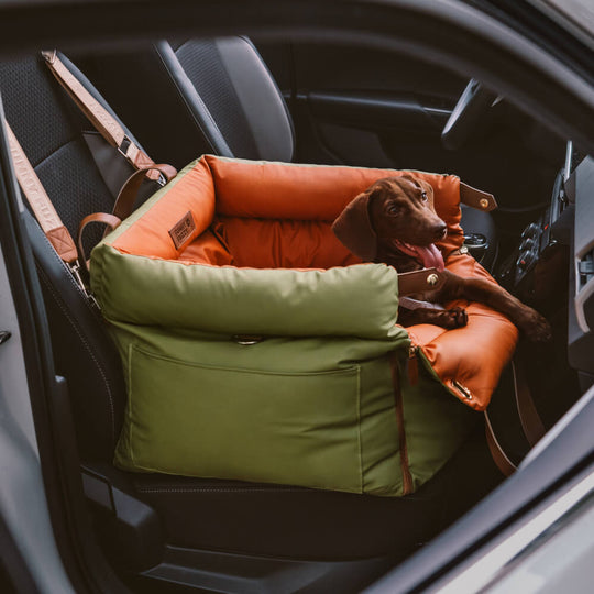 Honden Autostoeltje Comfortabel en Veilig voor Reiservaring 2