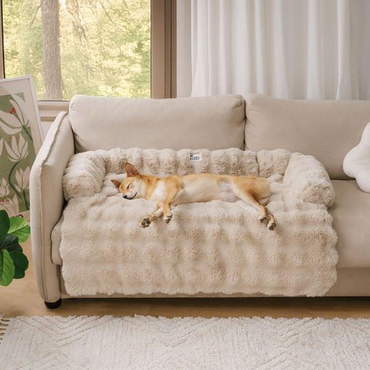 Hondenbed PlushNest Comfortabel en Multifunctioneel 2