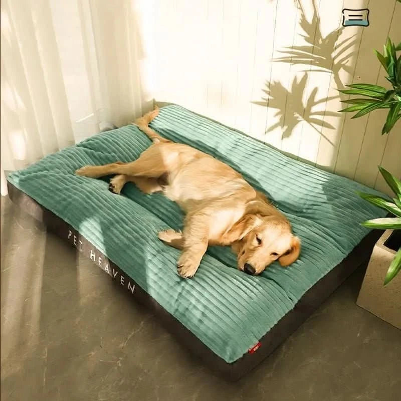 Hondenbed voor Comfort en Ondersteuning 1