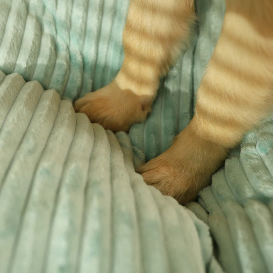 Hondenkussen met Afneembare Hoes voor Comfort en Ondersteuning 6