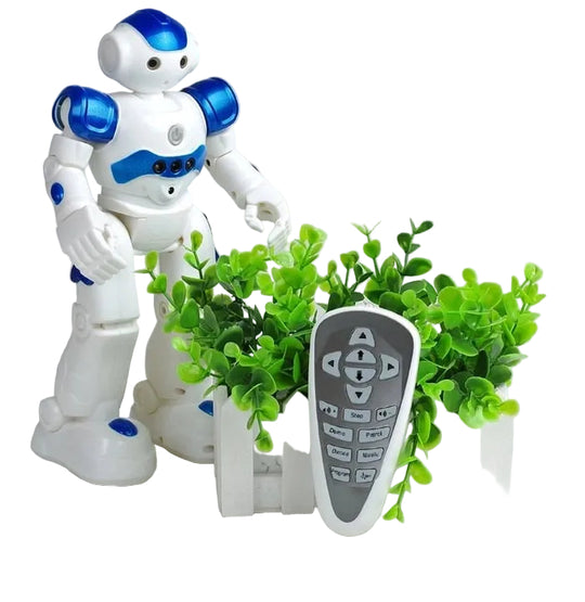 Interactieve Leerrobot voor Kinderen met Gebarencontrole 0