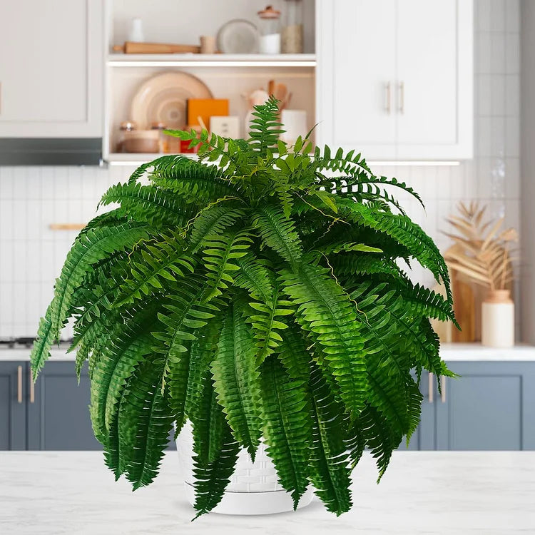 Kunstplanten Bostonvaren Voor Binnen En Buiten Decoratie 3