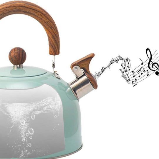 Roestvrijstalen Kettle 3L met Ergonomisch Handvat en Fluitsignaal 4