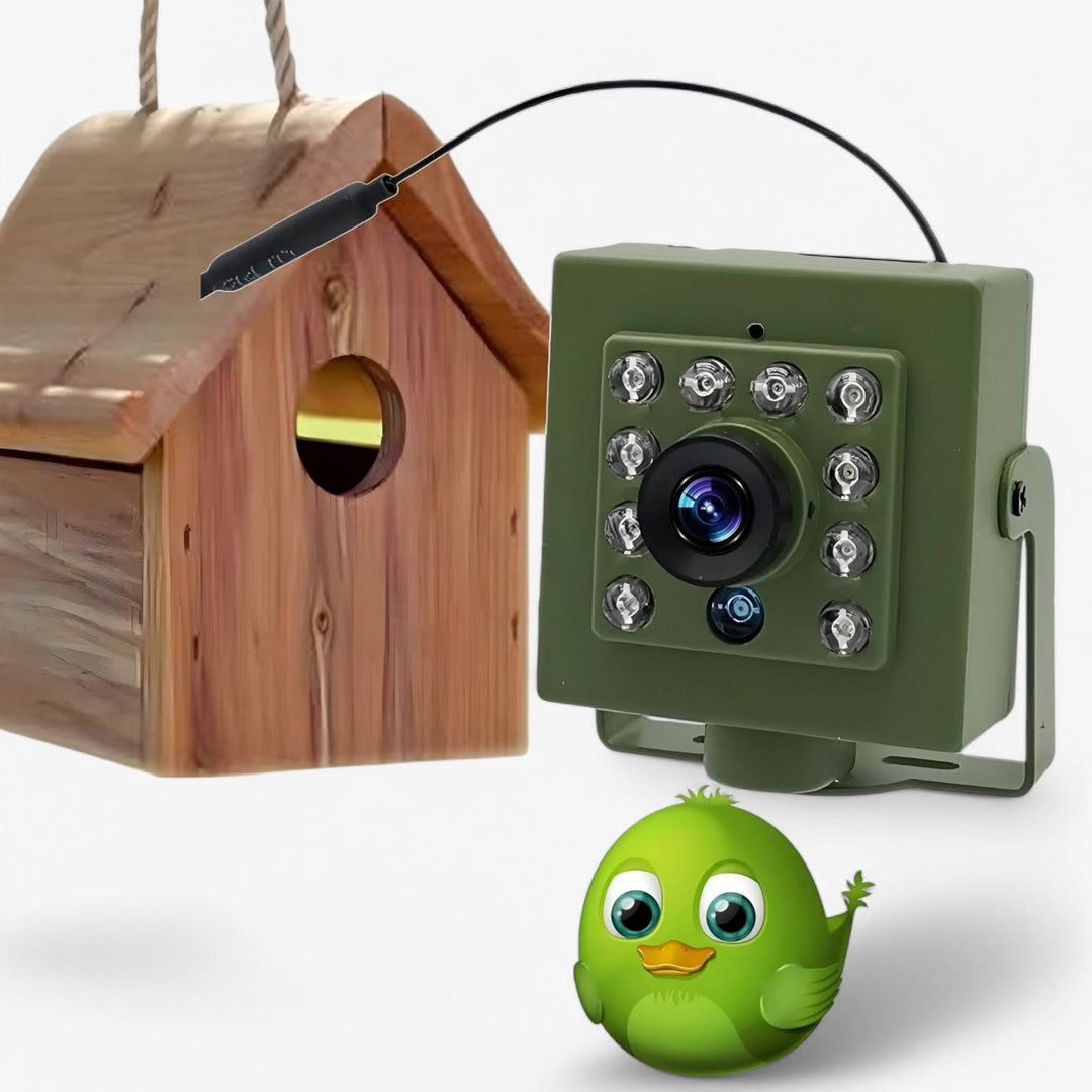 WLAN-camera voor Vogels Kijken met Nachtzicht 1