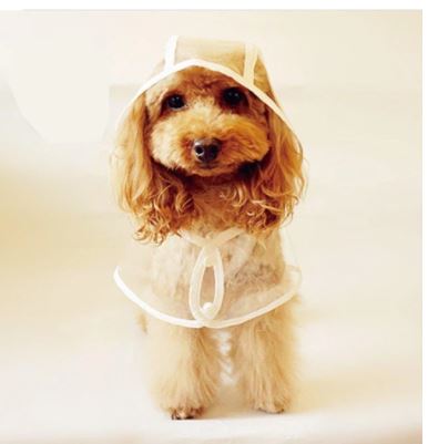 Hond Waterdichte Transparante Regenjas
