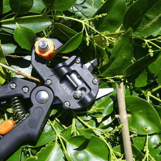 Tuin Enting Tool Belleza