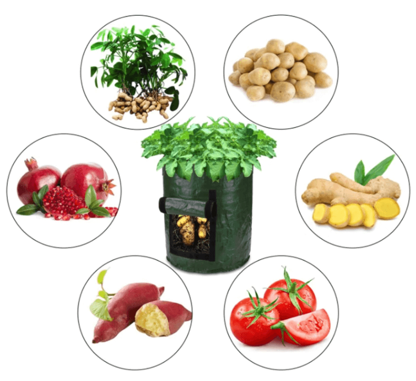 Aardappel Groeiende Zak Belleza